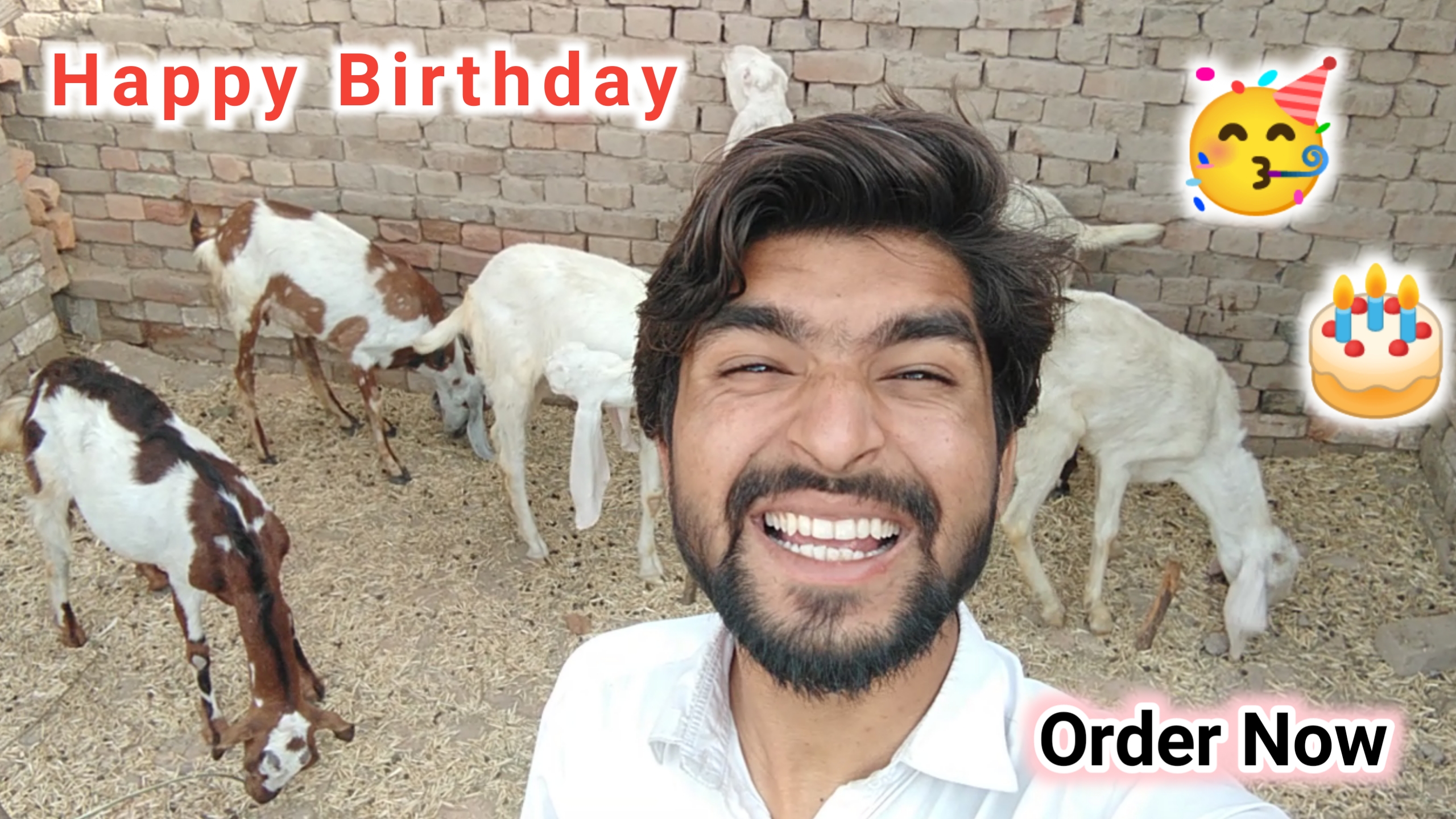 Birthday Wish Cover