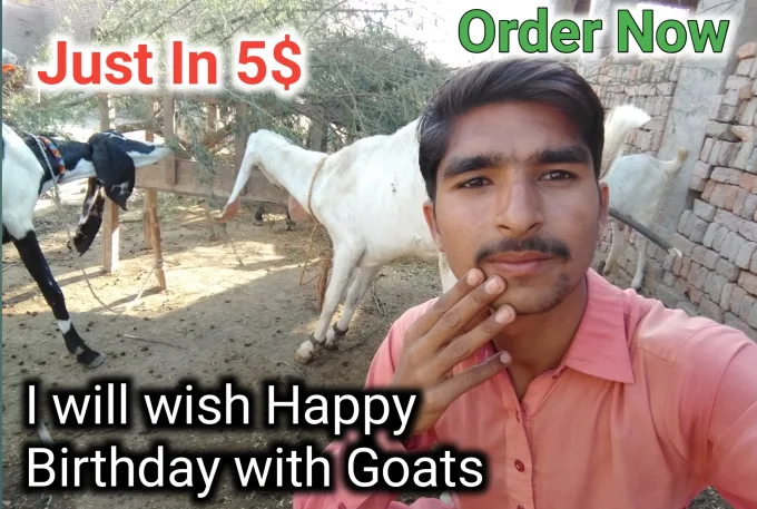 wish-and-sing-happy-birthday-song-with-goats.